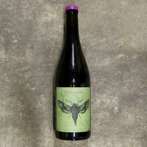 Weinschwärmer