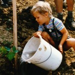 Little Micha watering a new vineyard